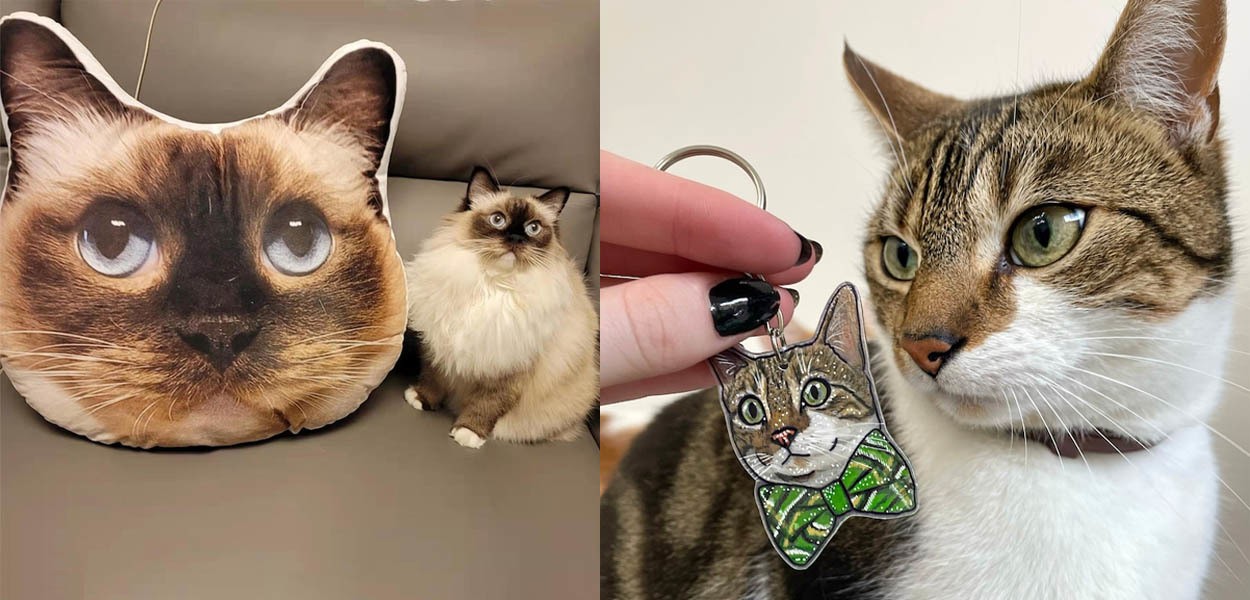 The Best Customized Gifts for Your Cat on International Cat Day