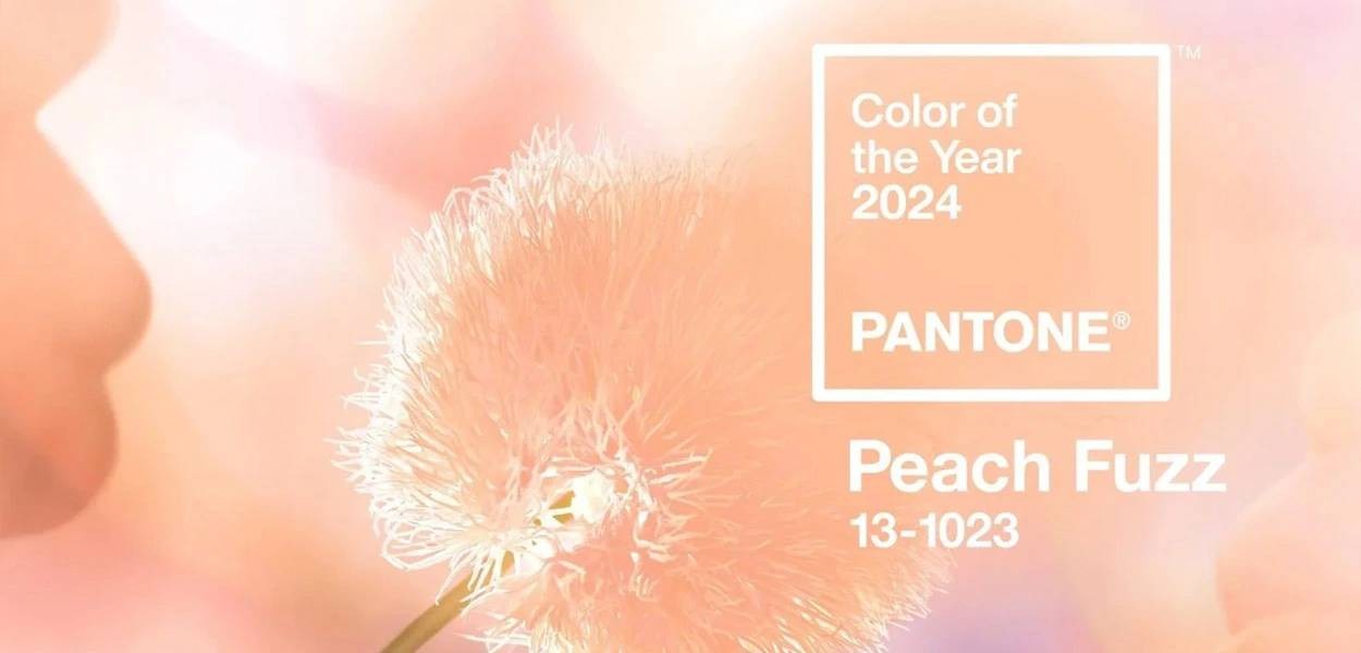 How to use Peach Fuzz - Pantone Color of 2024?